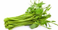 Thai morning glory 200g
